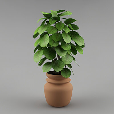 3d plant flowerpot realistic model - plant_0002 by stei
