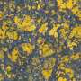 AsphaltChipedYellowPaint.tga