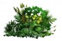 Bush_02.tga