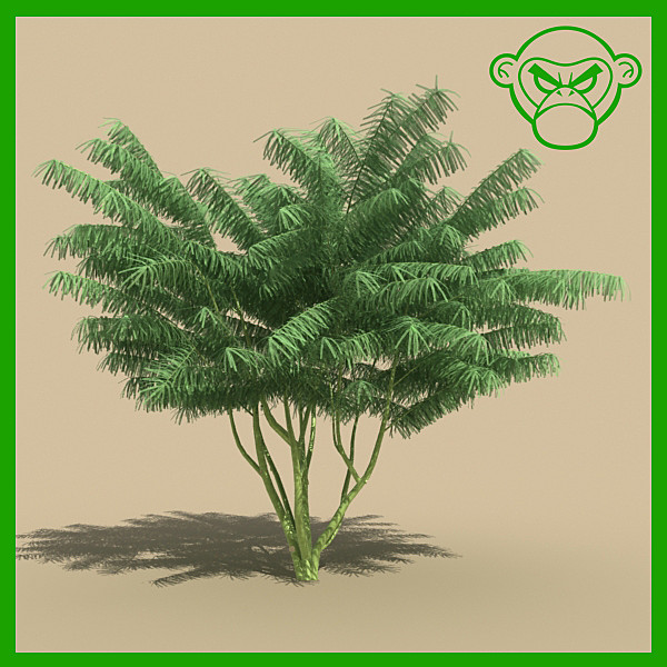 mexican palo verde 3d model - mexican palo verde by monkeyodoom