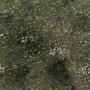 alienskin.tga