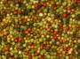 peppercorn medley_2710 tm.jpg