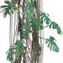 Tropic_10.tga