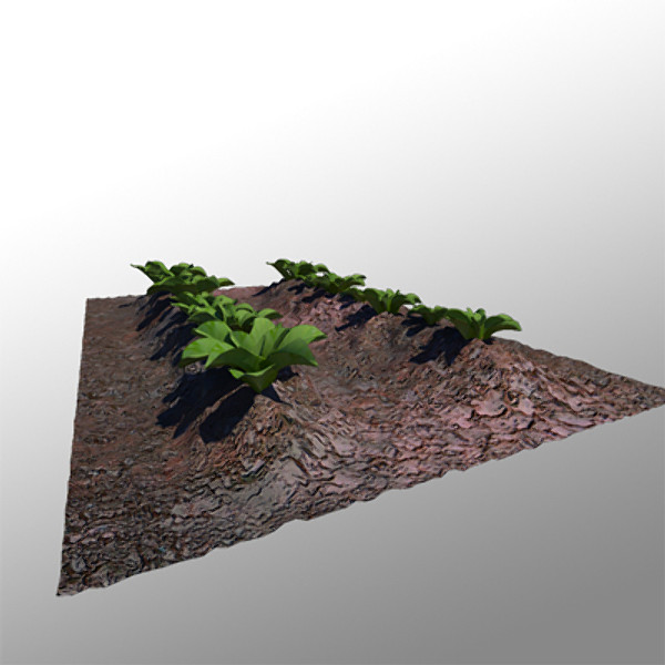 orchard cabbage 3d 3ds - cabbage by peregrind