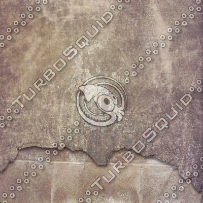 tile007.tga