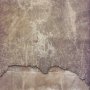 tile007.tga