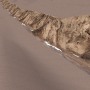 CliffDirt-4096.tga