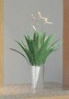 potted plant2