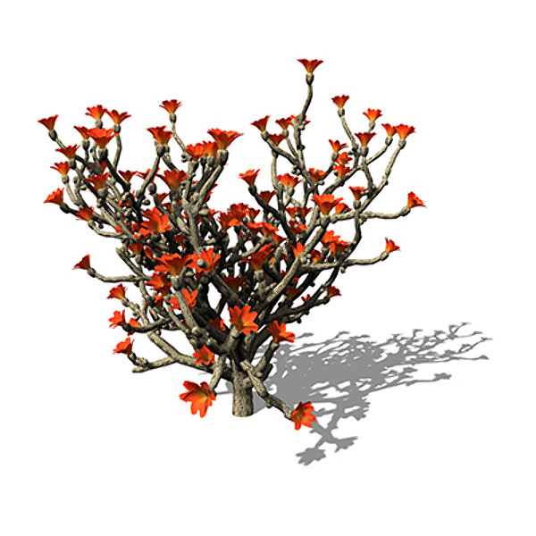 3dsmax xfrogplants staghorn cholla plant - XfrogPlants Staghorn Cholla by xfrog