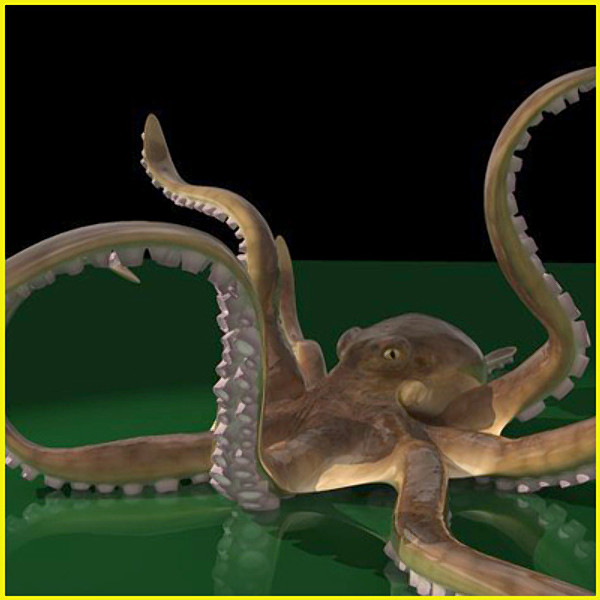 rigged giant pacific octopus 3d model - Giant Pacific Octopus (Enteroctopus dofleini) by vitamin_e