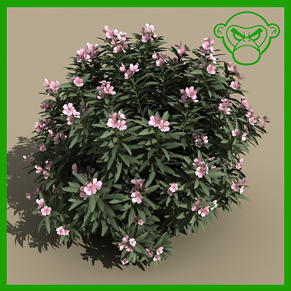 3dsmax oleander bush pink - oleander_bush_pink by monkeyodoom