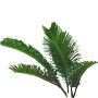 Branch_s_41.tga