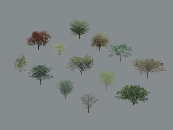 Tree-Deciduous_Collection_Vol-1