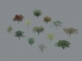 Tree-Deciduous_Collection_Vol-1