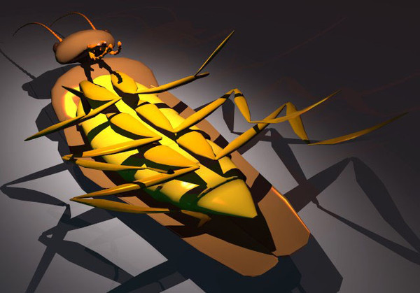 maya cockroach creatures extermination - Cockroach... by GraphicGuru