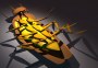 maya cockroach creatures extermination