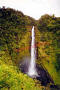 Akaka Falls, Hawaii tex.jpg
