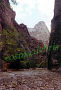 Zion National Park, Utah 06.jpg