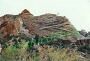 Zion National Park, Utah 07.jpg