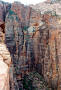 Zion National Park, Utah 10 tm.jpg