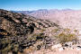 desert vista, Morongo Valley tm.jpg
