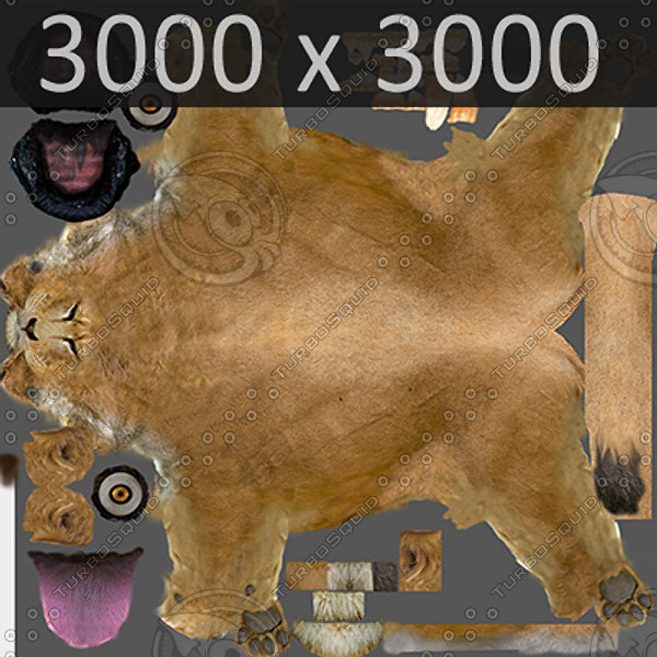 3d model lioness polys - Lioness by NONECG