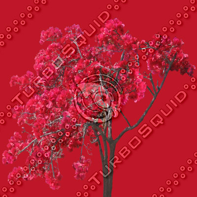 Bush_S_02.tga