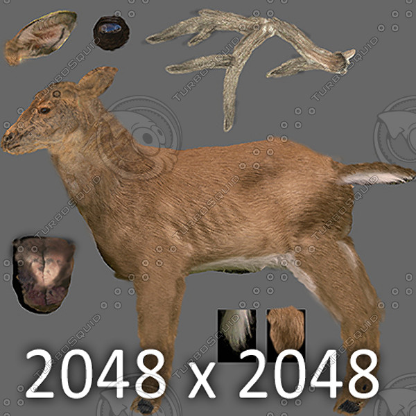 reindeer elk deer 3ds - Rigged Deer... by NONECG