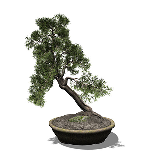 3ds max xfrogplants bonsai temple juniper - XfrogPlants Bonsai Temple Juniper by xfrog