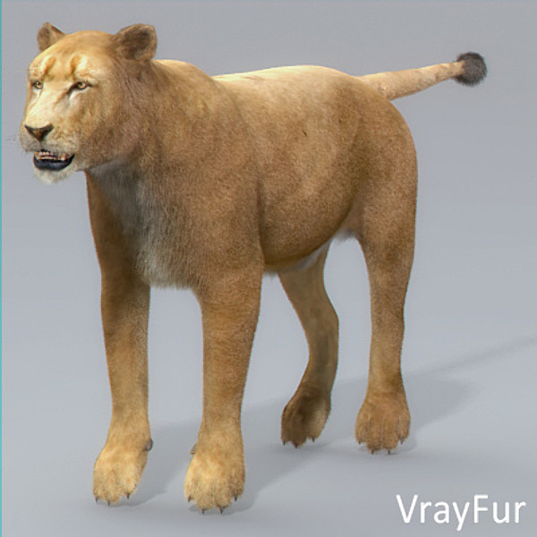 3d model lioness polys - Lioness by NONECG