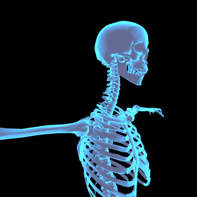 human body male 3d model - Human Body (Male)... by PROTOCG