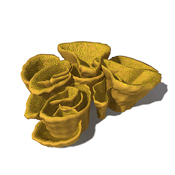 xfrogplants yellow scroll coral obj - XfrogPlants Yellow Scroll Coral by xfrog