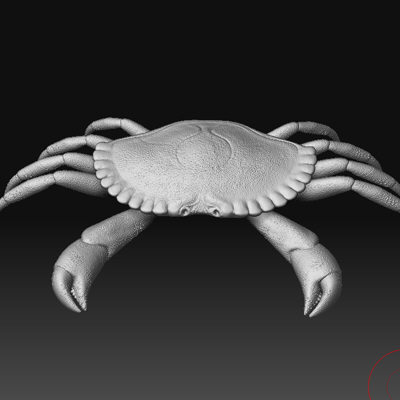 crab claws obj - crab by AexisOnFire