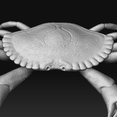 crab claws obj - crab by AexisOnFire
