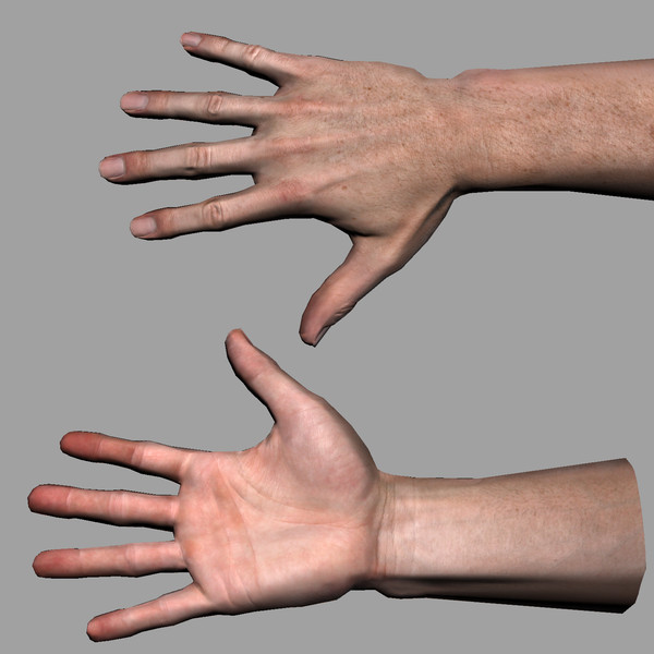 hand quad high-res 3d model - Male Hand (Jointed)... by kenbishop