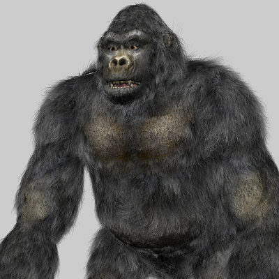 3d gorilla monkey model - Gorilla by 3d_Wanderer