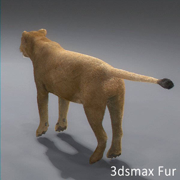 3d model lioness polys - Lioness by NONECG