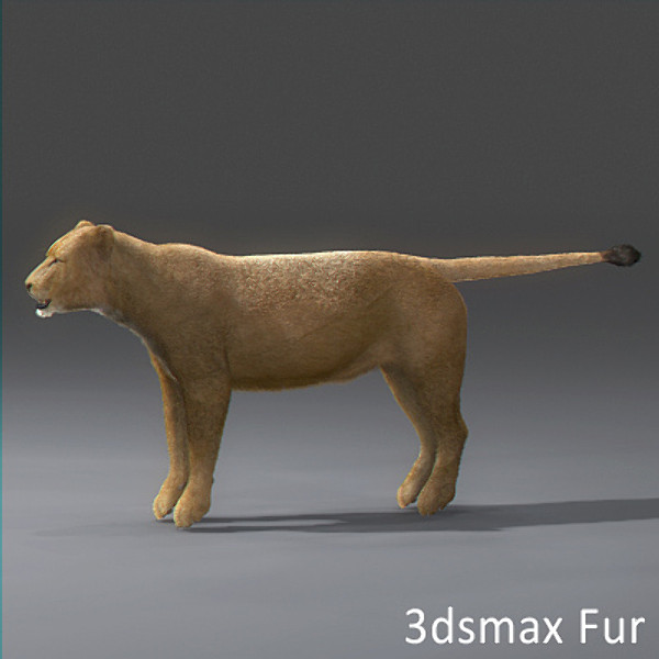 lioness polys 3d model - Animated Lioness by NONECG