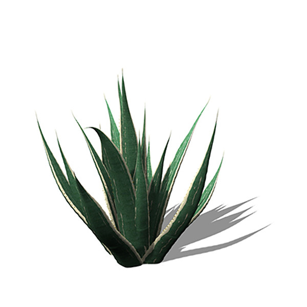 xfrogplants century plant 3ds - XfrogPlants Century Plant by xfrog