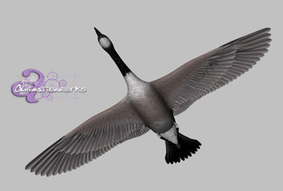 3d canadian goose model - Canadian Goose... by HIVEFX