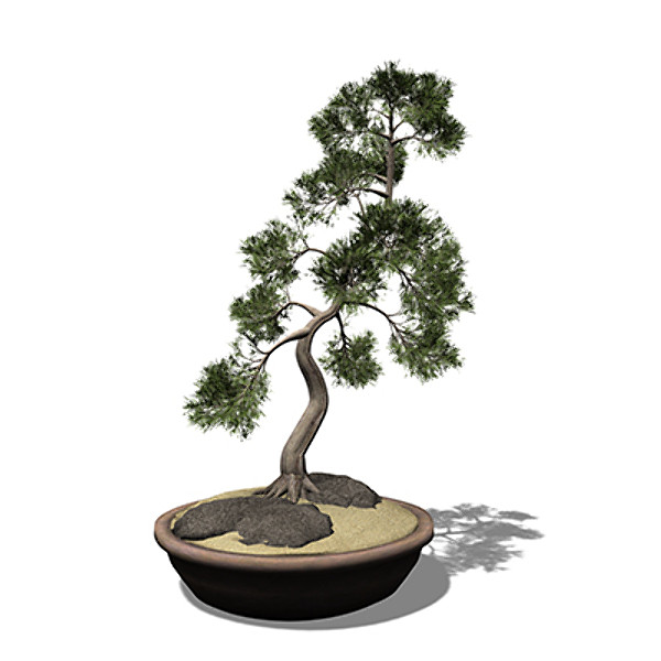 3ds max xfrogplants bonsai temple juniper - XfrogPlants Bonsai Temple Juniper by xfrog