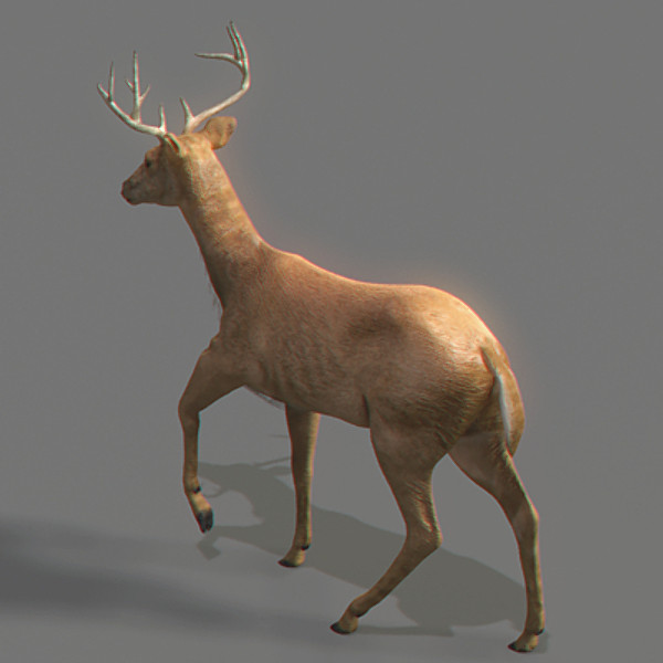 reindeer elk deer 3ds - Rigged Deer... by NONECG