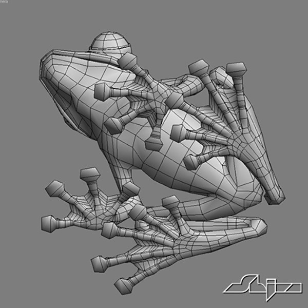 3d model frog amphibian - Redeye TreeFrog... by shiva3d