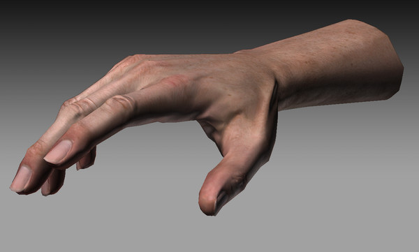 hand quad high-res 3d model - Male Hand (Jointed)... by kenbishop