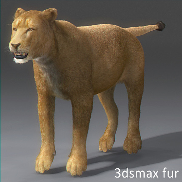 3d model lioness polys - Lioness by NONECG