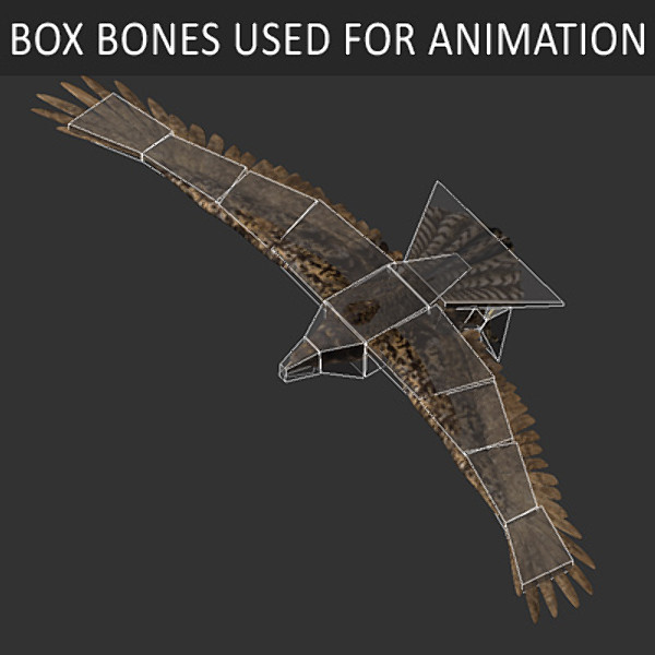 hawk eagle 3d obj - Animated Hawk... by NONECG