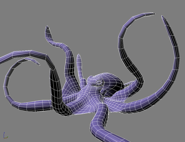 rigged giant pacific octopus 3d model - Giant Pacific Octopus (Enteroctopus dofleini) by vitamin_e