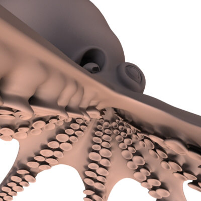 3d model octopus squid - Octopus by FraP