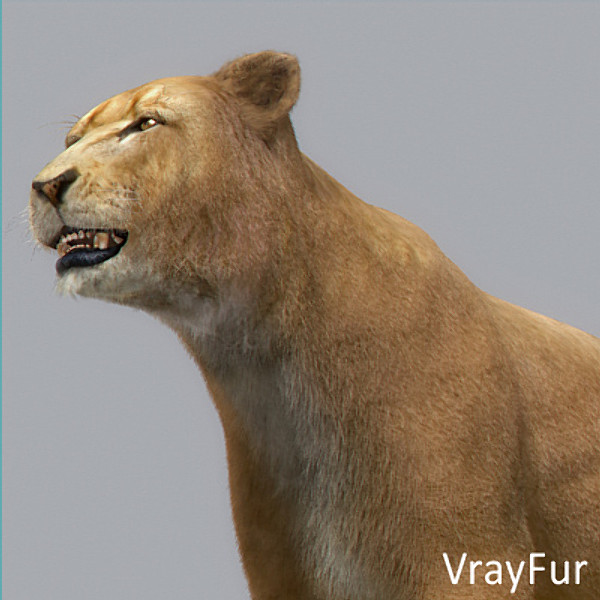 3d model lioness polys - Lioness by NONECG