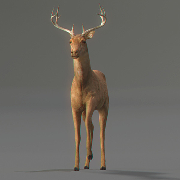 reindeer elk deer 3ds - Rigged Deer... by NONECG